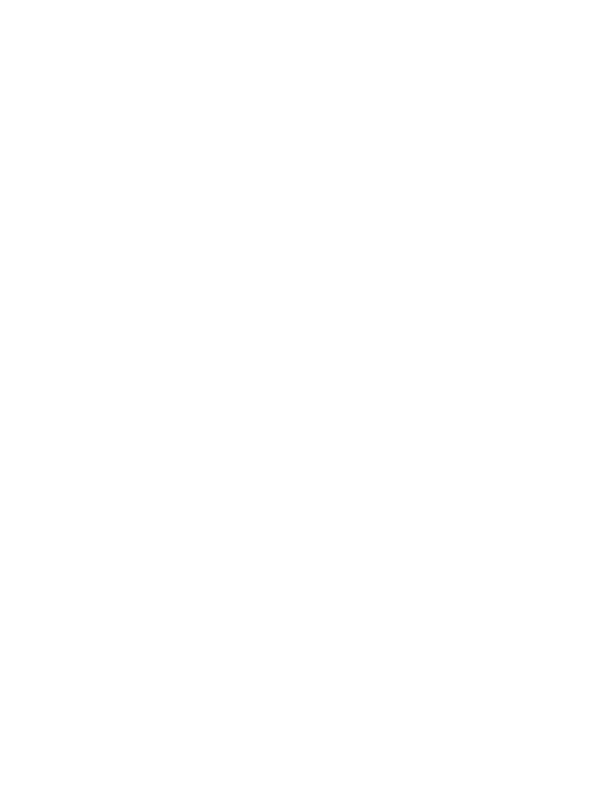 The Astrologer by Hans Holbein