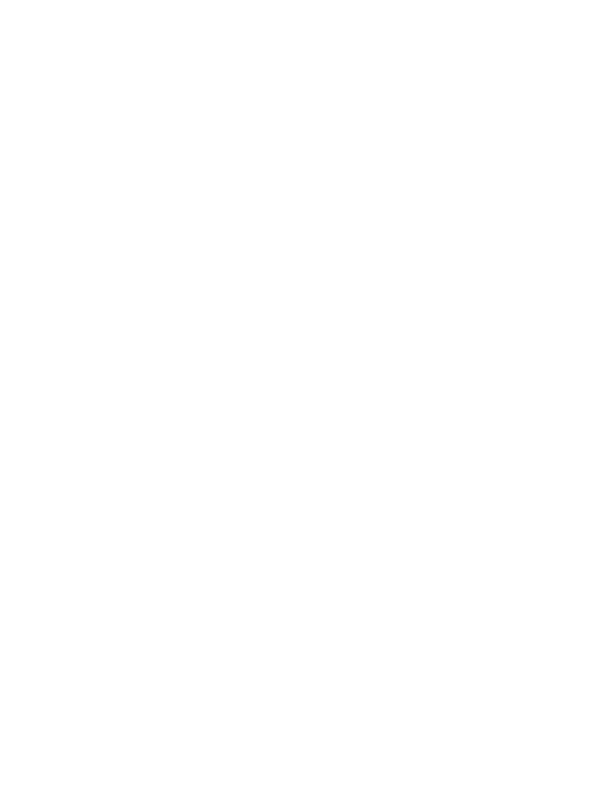 The Miser by Hans Holbein