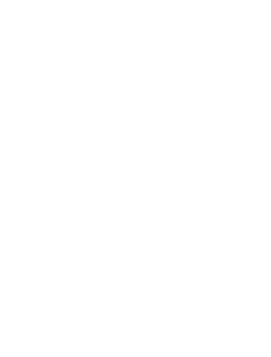 The King by Hans Holbein
